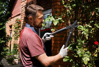 service-image