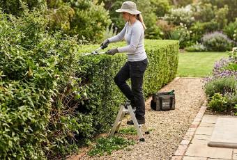 Hedge Trimming