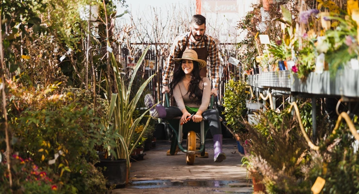 NDIS Gardening